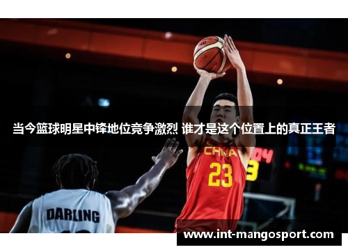 当今篮球明星中锋地位竞争激烈 谁才是这个位置上的真正王者