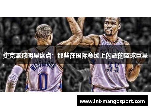 捷克篮球明星盘点:那些在国际赛场上闪耀的篮球巨星