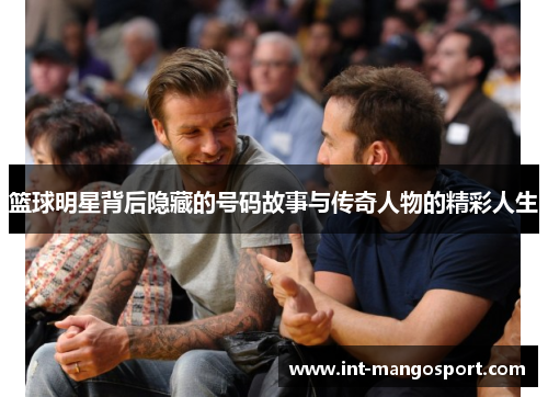 篮球明星背后隐藏的号码故事与传奇人物的精彩人生