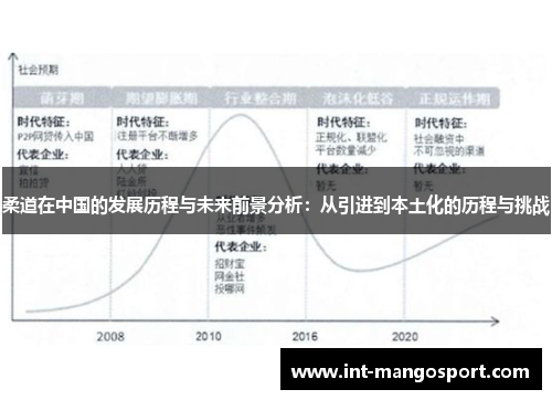 柔道在中国的发展历程与未来前景分析:从引进到本土化的历程与挑战