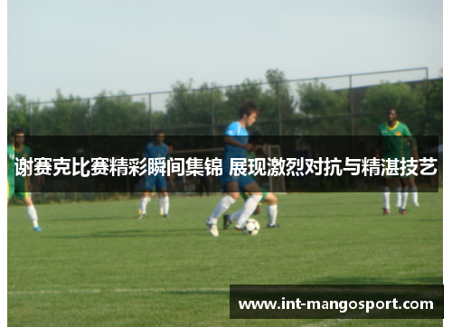 谢赛克比赛精彩瞬间集锦 展现激烈对抗与精湛技艺