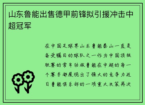 山东鲁能出售德甲前锋拟引援冲击中超冠军